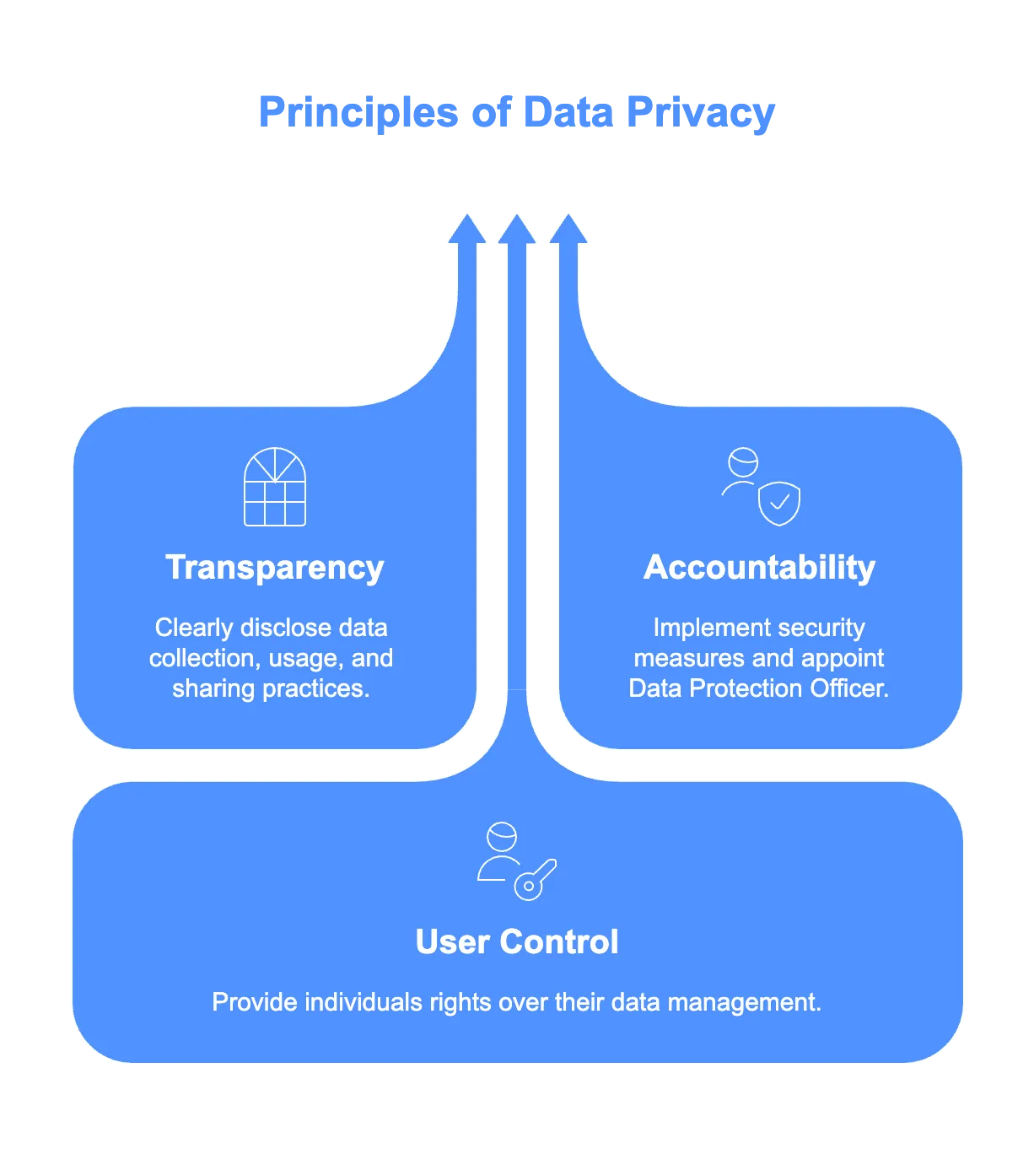 Key Principles of Data Privacy Laws and General Data Protection Regulation - visual selection