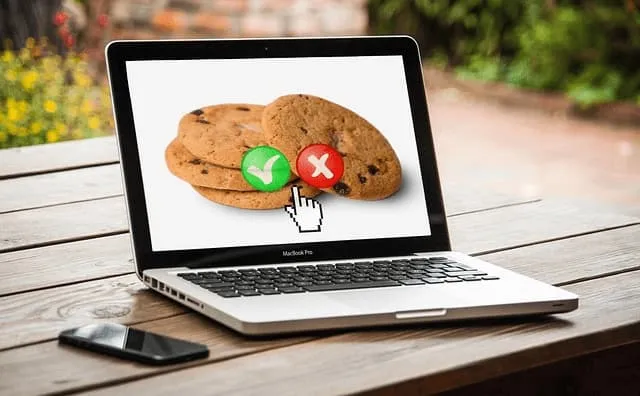 Pandectes GDPR Compliance App for Shopify - Data privacy A glimpse into a Cookieless Future - Part 3