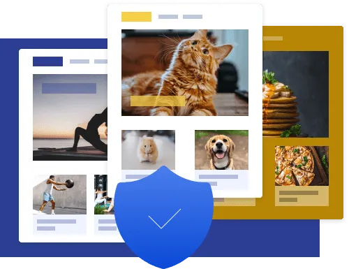 Multistore companies on Shopify