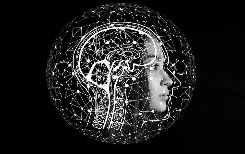 Pandectes GDPR Compliance app for Shopify - Data Privacy and Artificial Intelligence (AI) - brain