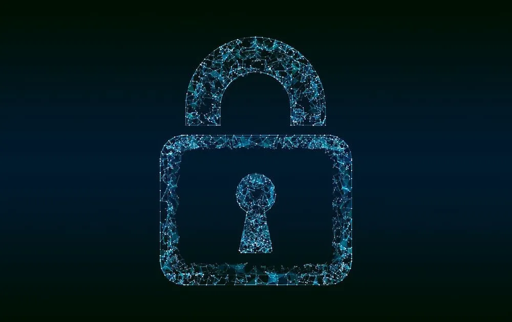 What is a DSAR form_ Requirements, best practices, and more - locker
