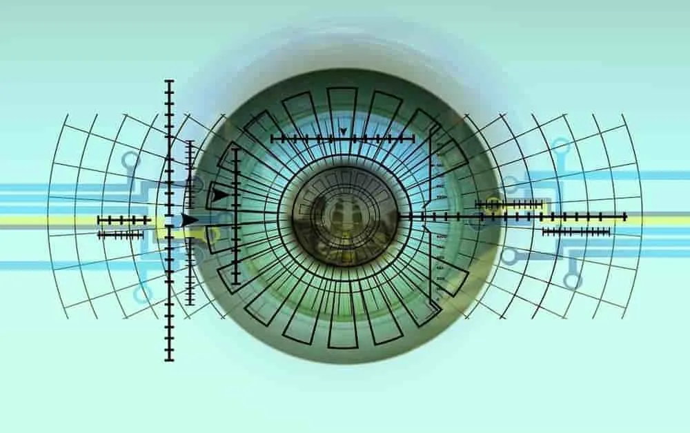 eye