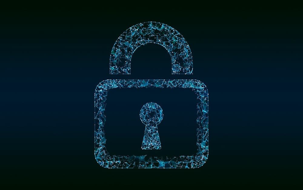 Pandectes GDPR Compliance app for Shopify Stores - What is a DSAR form_ Requirements, best practices, and more - locker