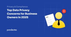 Top Data Privacy Concerns for Business Owners in 2025