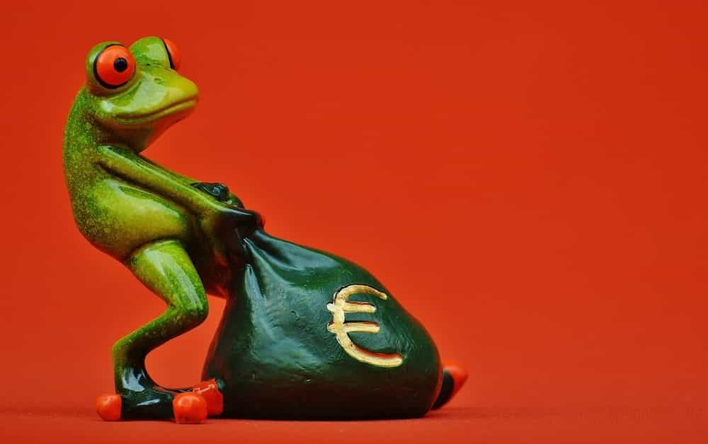 frog dragging a bag of money