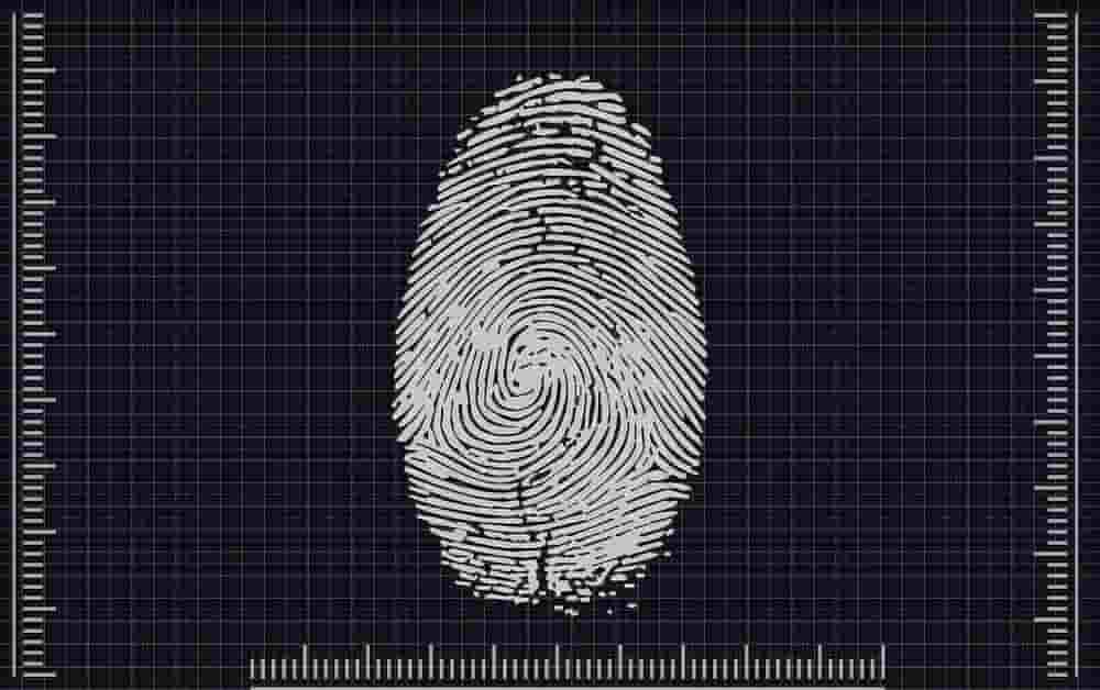 fingerprint