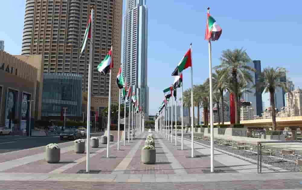 UAE flags